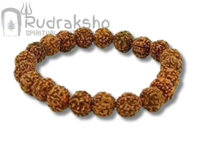 5 Mukhi Guru Bracelet
